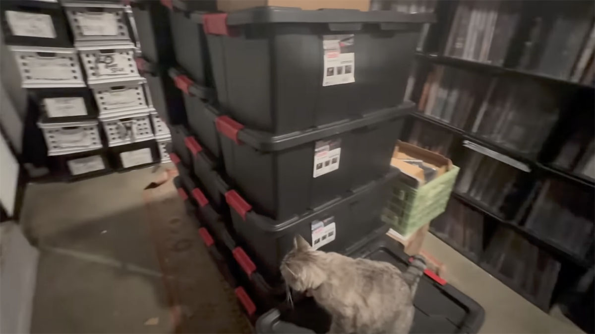 The-Most-Insane-Collection-of-Over-2300-Ultra-Rare-BlackDeath-Metal-CDs-I-Scored-For-8000